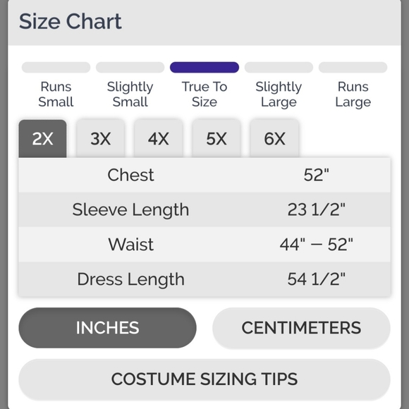 Glinda the Good With Costume| Size 2X - Picture 4 of 4